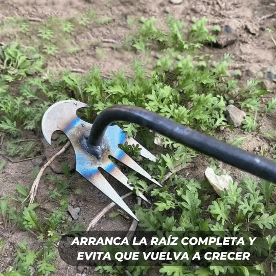Rastrillo de Acero Extractor de Malezas