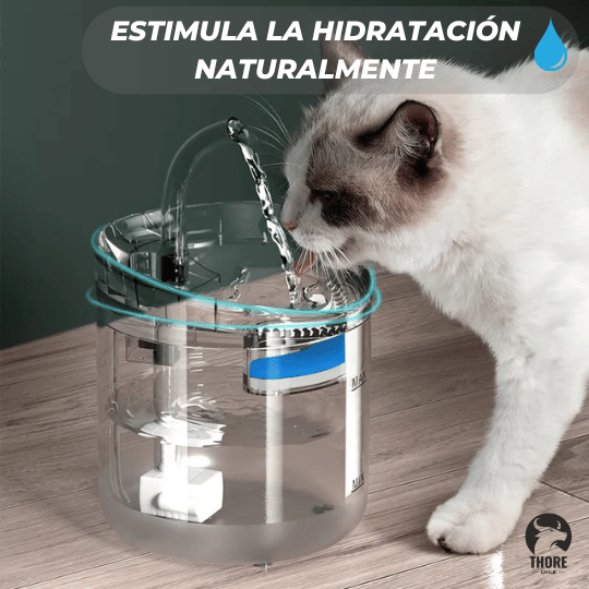 Bebedero Automático Hidrapet para mascotas💧